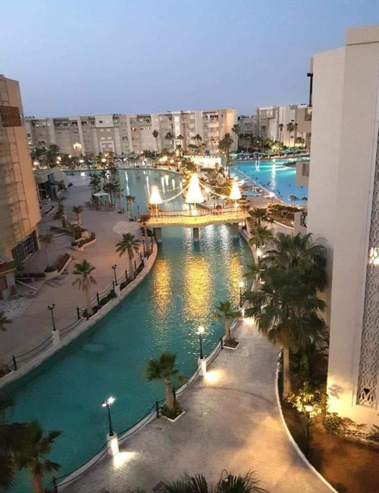 Palm Folla *