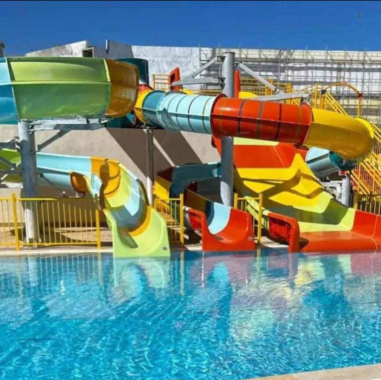 Palm Folla * Monastir